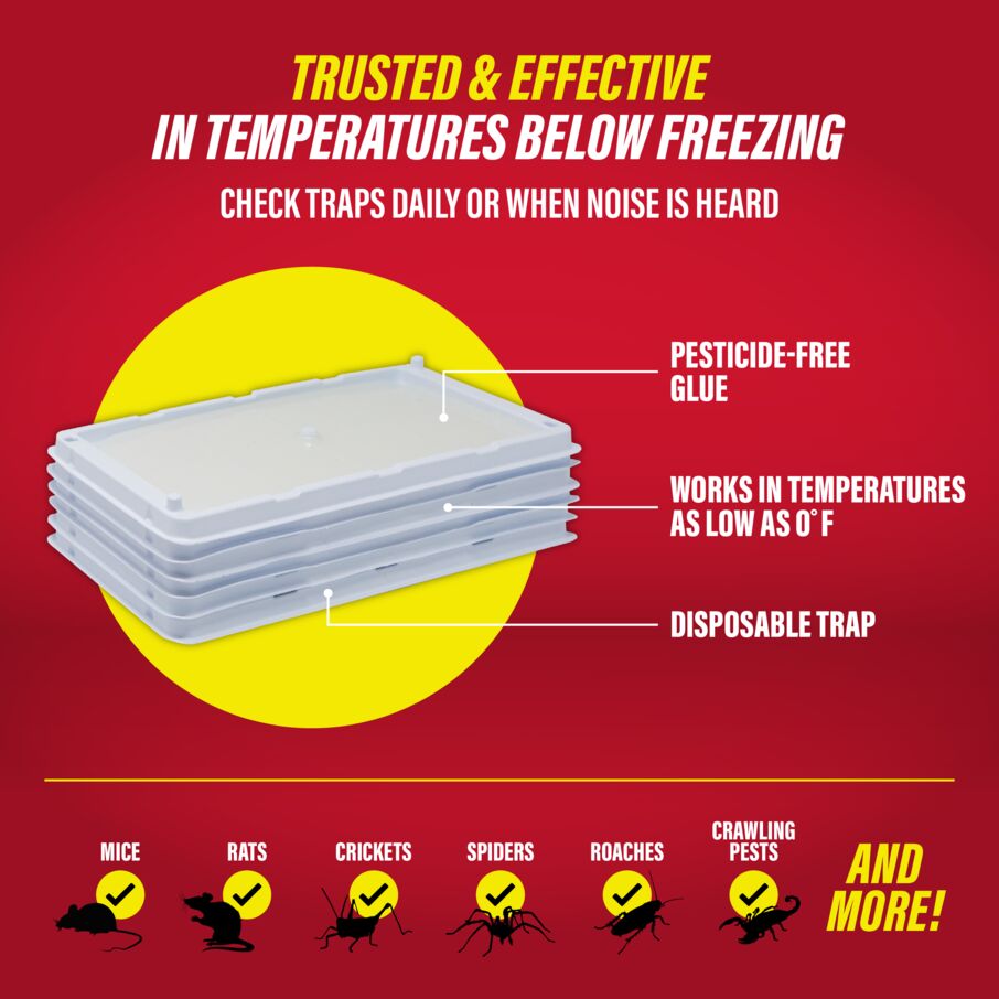 Rodent & Insect Glue Trays for Cold Weather