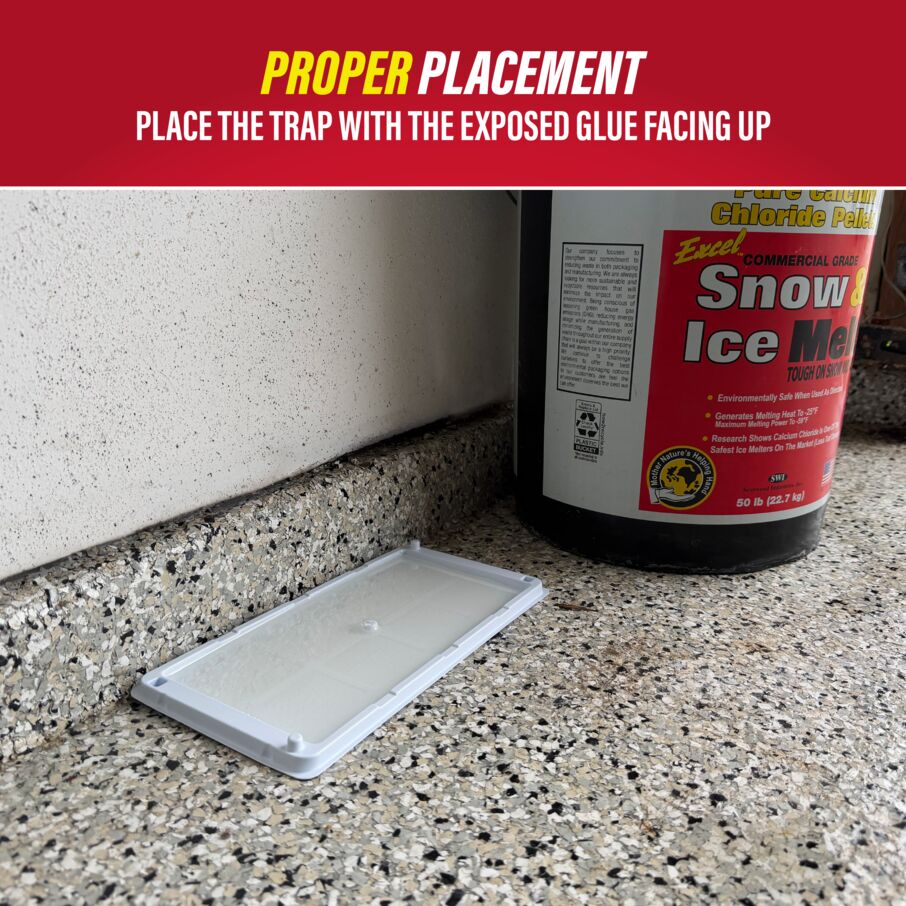 Rodent & Insect Glue Trays for Cold Weather