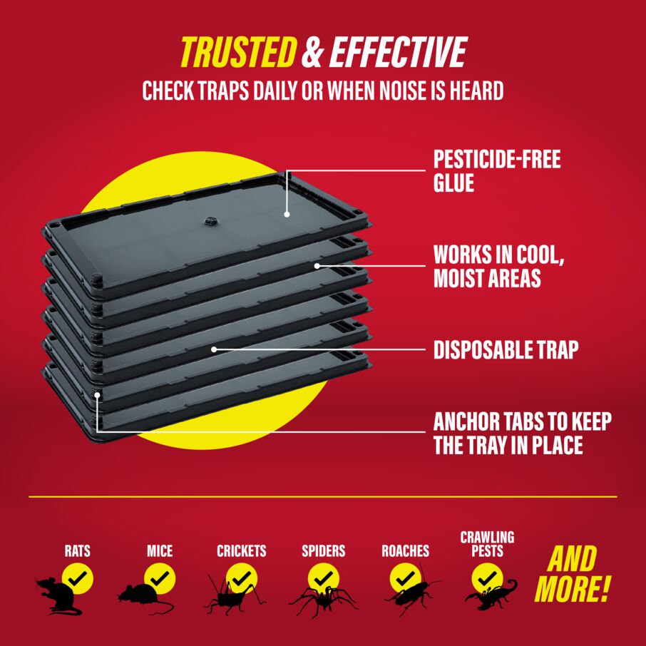 Heavy-Duty Rat, Mouse & Insect Glue Traps