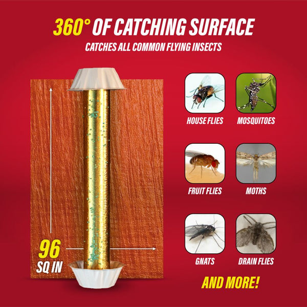 Gold Stick Fly Sticky Traps with Attractant
