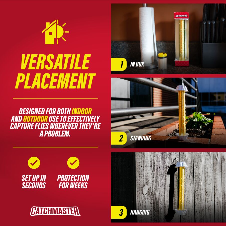 Gold Stick Fly Sticky Traps with Attractant