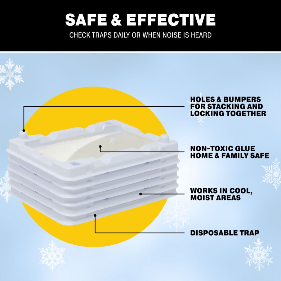 Mouse & Insect Glue Trays for Cold Weather