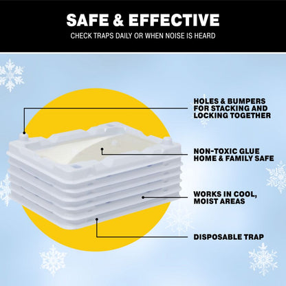 Mouse & Insect Glue Trays for Cold Weather