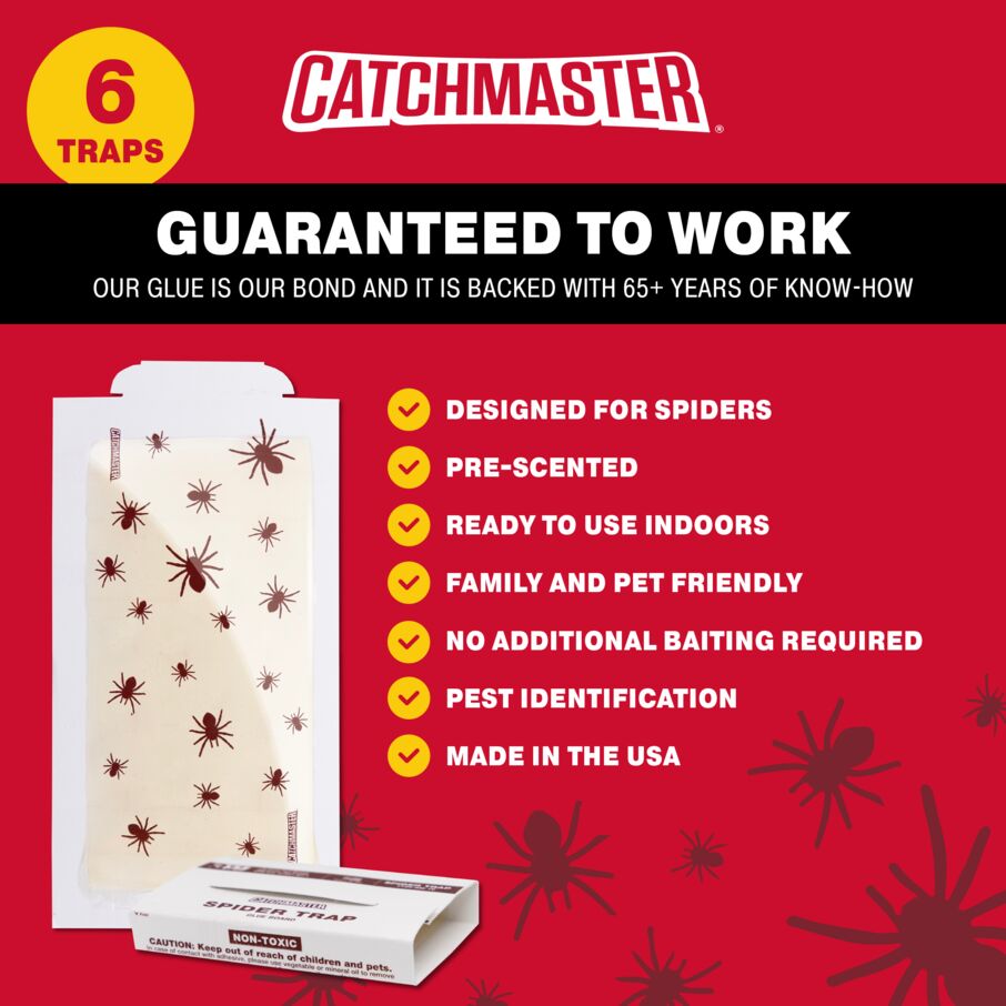 Spider-Patterned Glue Traps