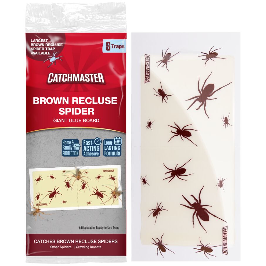 Brown Recluse Spider Giant Glue Board Traps