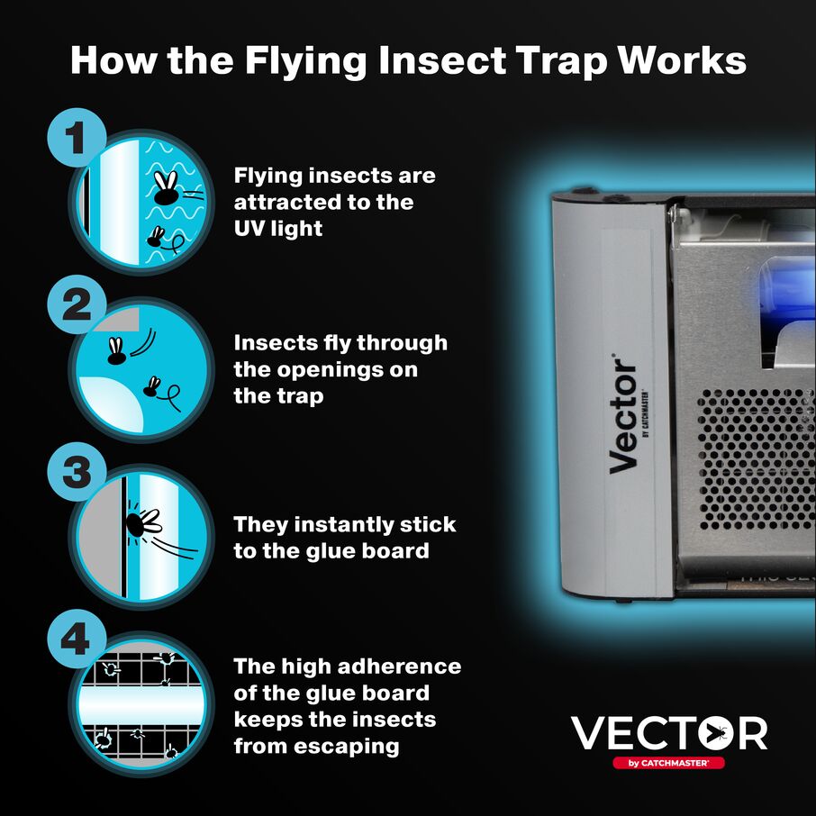 Vector Plasma One UV Light Fly Trap