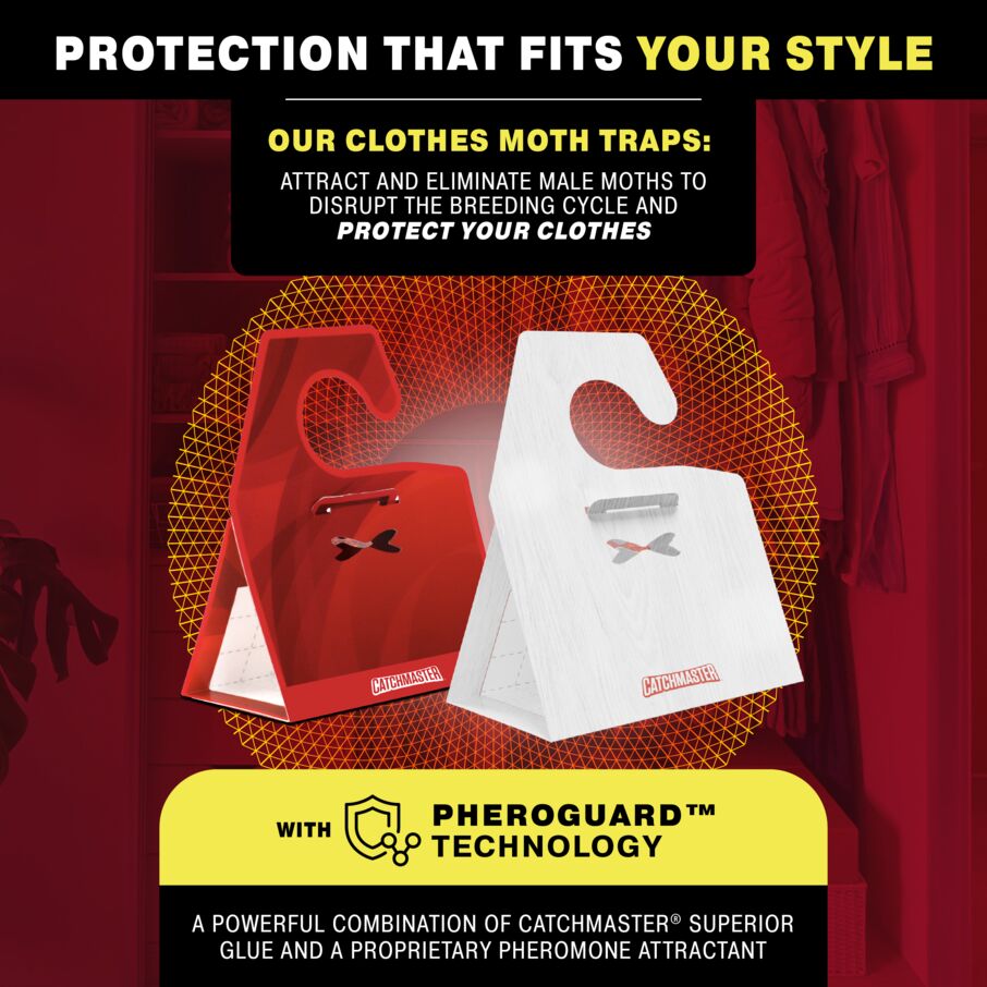 Premium Clothes Moth Traps with Patented Pheromones XL – Hardwood