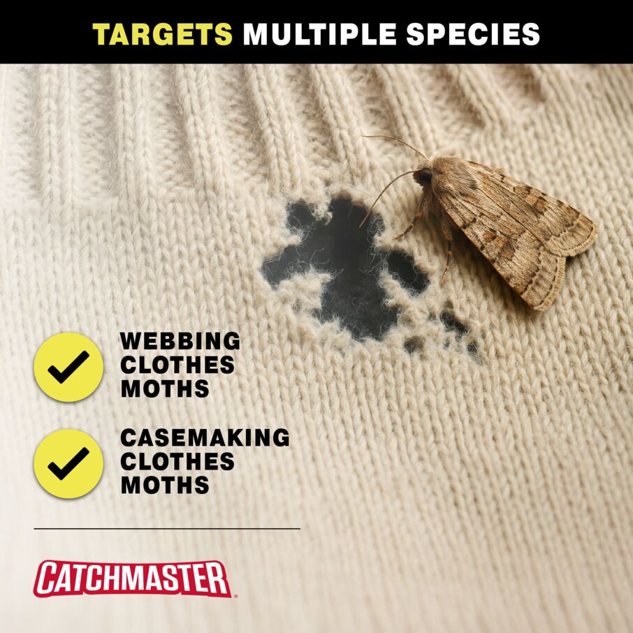 Premium Clothes Moth Traps with Patented Pheromones XL – Hardwood