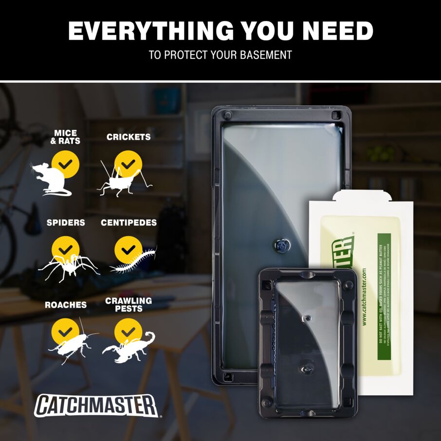 Complete Basement Pest Control Kit, w/ Glue Boards and Glue Trays