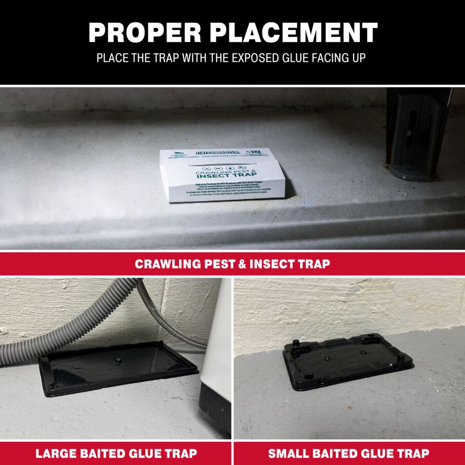 Complete Basement Pest Control Kit, w/ Glue Boards and Glue Trays