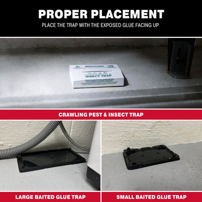 Complete Basement Pest Control Kit, w/ Glue Boards and Glue Trays