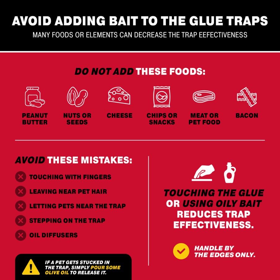 Max-Catch Unscented Glue Board Traps