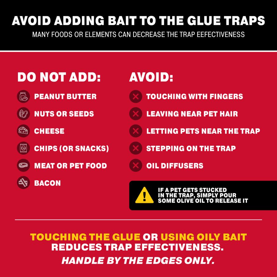 Max-Catch Unscented Glue Board Traps