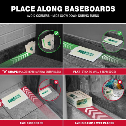 Max-Catch Unscented Glue Board Traps