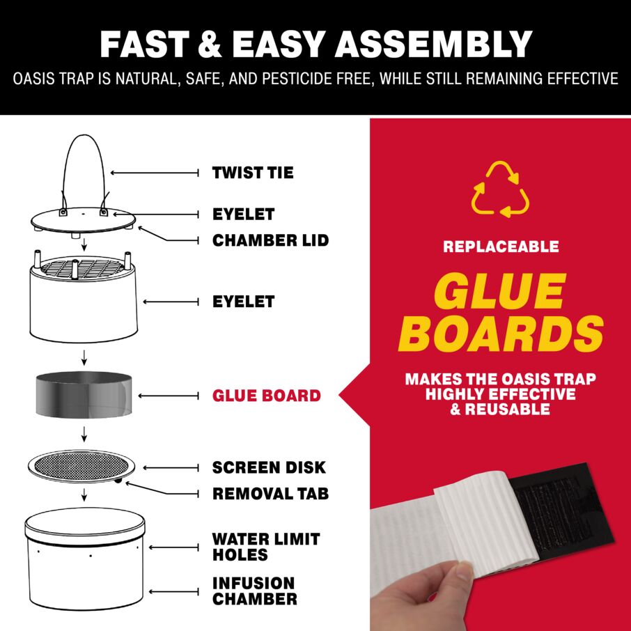 Oasis Ovi-Mini Mosquito Trap