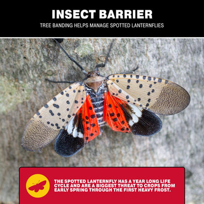 Tree Banding Insect Barrier DIY Kit