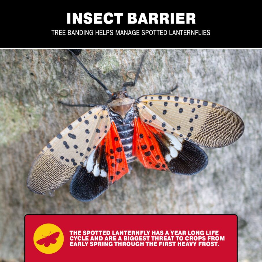 DIY Insect Barrier Adhesive Tree Kit