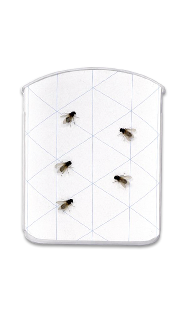 TYPICAL LED TRAP