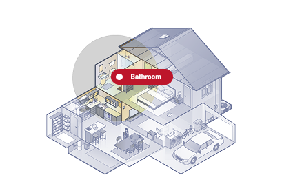 Common Pests and Insects Found in the Bathroom