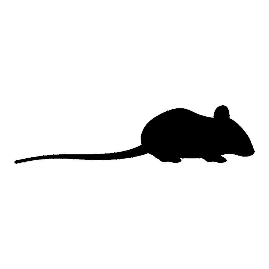 Black Mouse Illustration for Pest Management