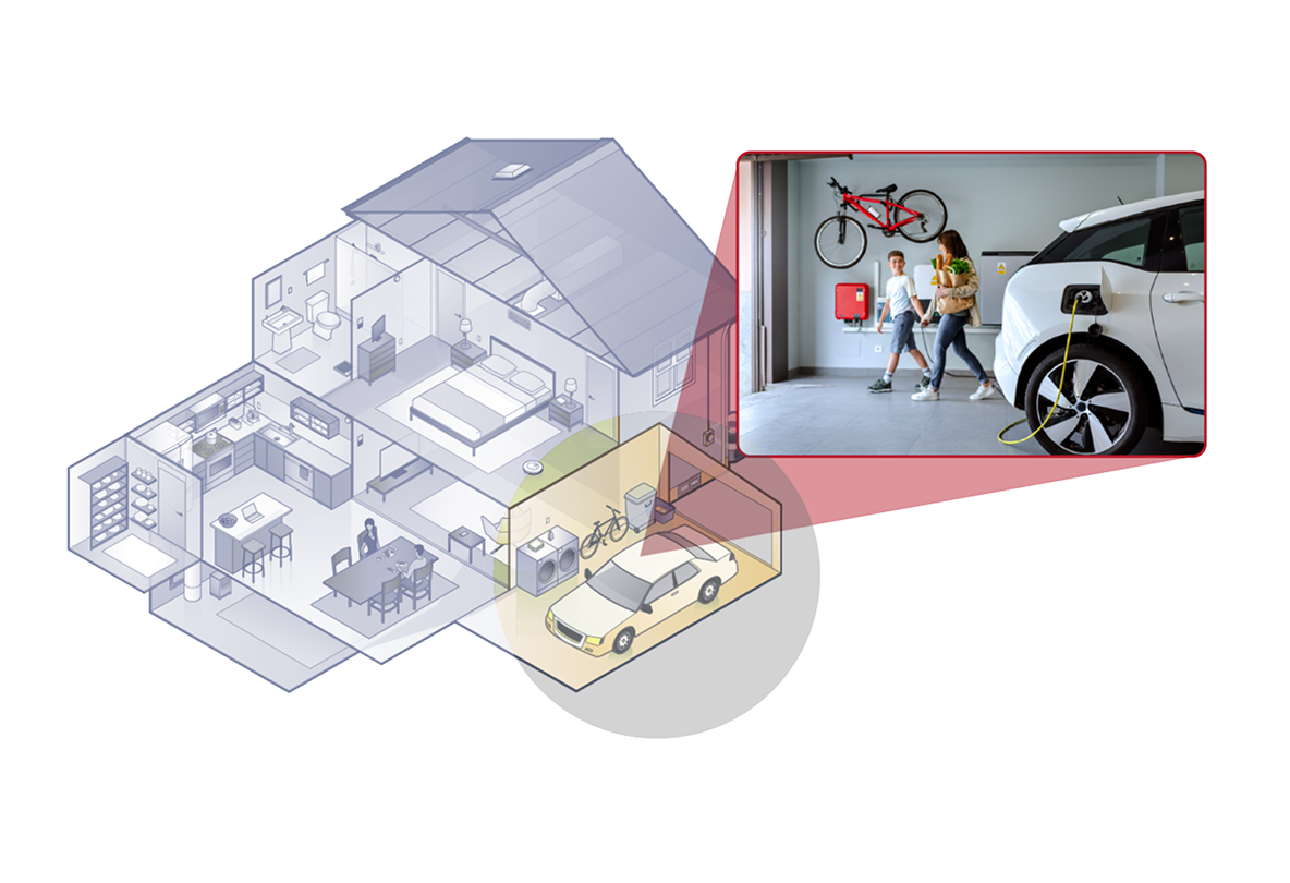 Common Pests and Insects Found in the Garage
