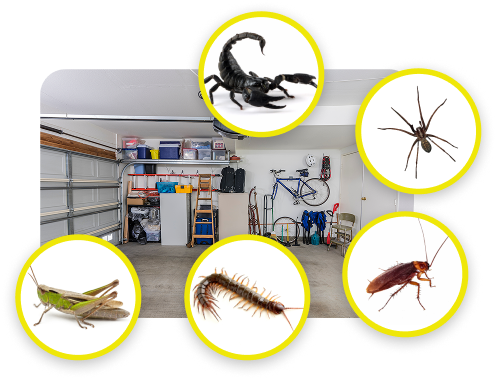 Why Pests Are Attracted to the Garage