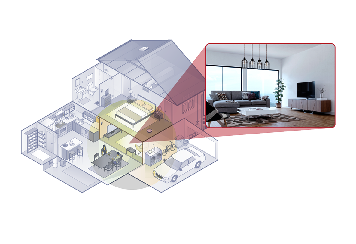 Common Pests and Insects in the Living Room