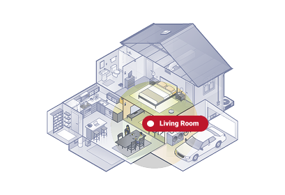 Common Pests and Insects Found in the Living Room