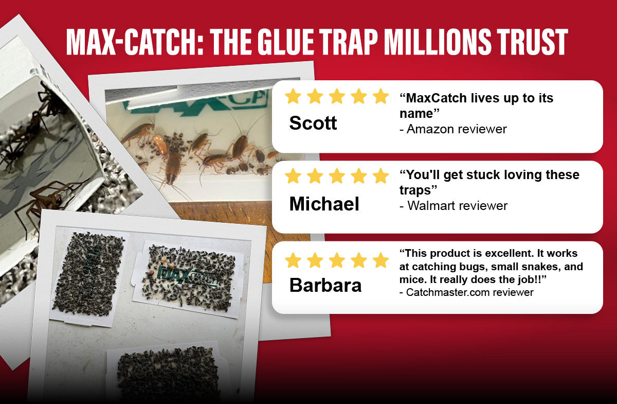 SHOP MAX-CATCH GLUE TRAPS