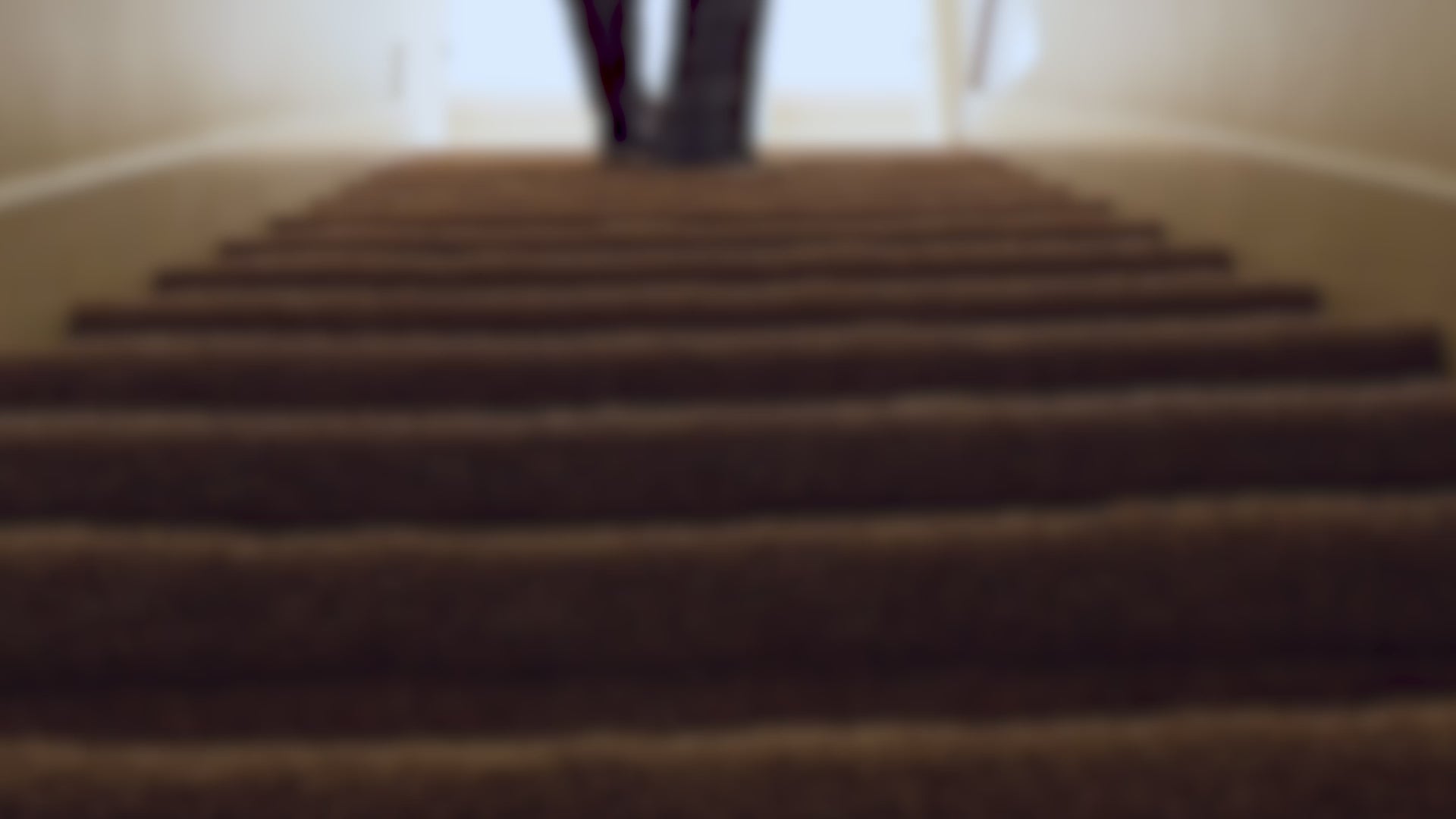 Pest Protection Kit with Glue Boards and Trays