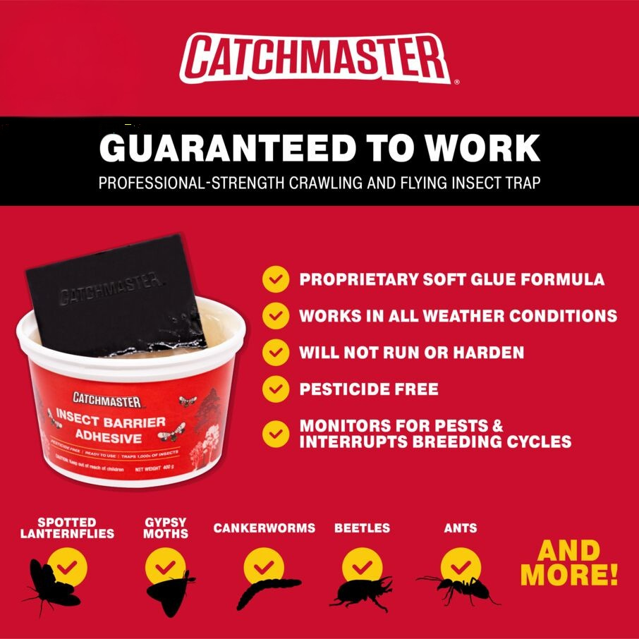 Insect Barrier Kit for Trees - Outdoor Insect Glue Traps