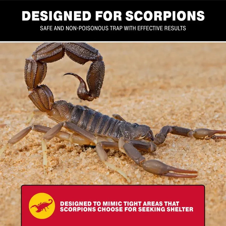 Plateaux de colle antiparasitaires Scorpion Home