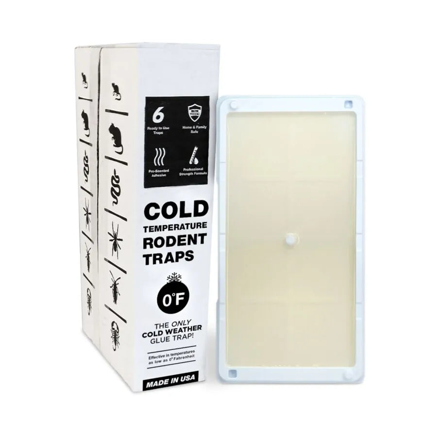 Cold Weather Glue Trays