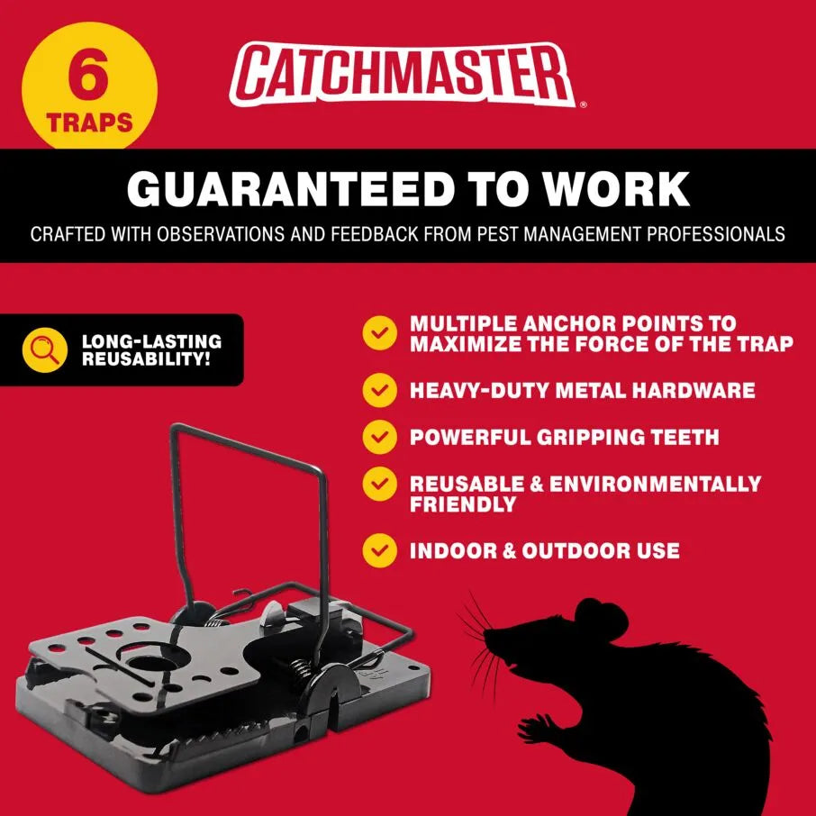 Action Pest Control ServicesThe Best Bait For Mouse Traps