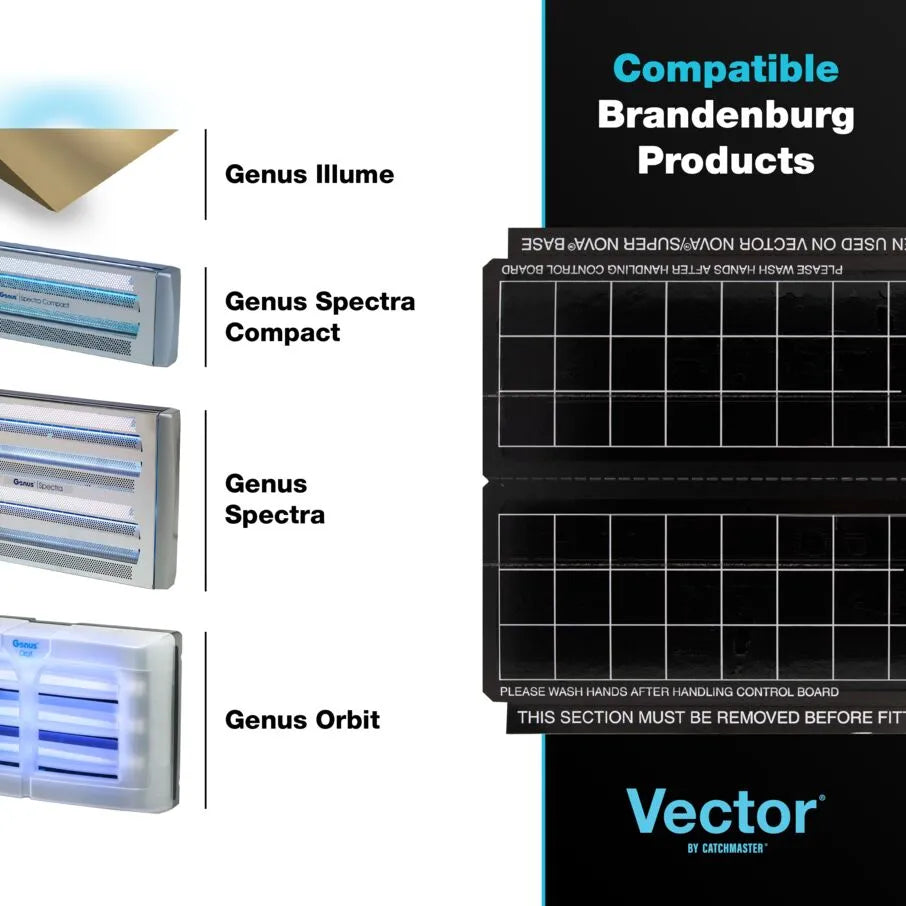 Cartes de remplacement de lumière anti-mouches UV vectorielles avec phéromones