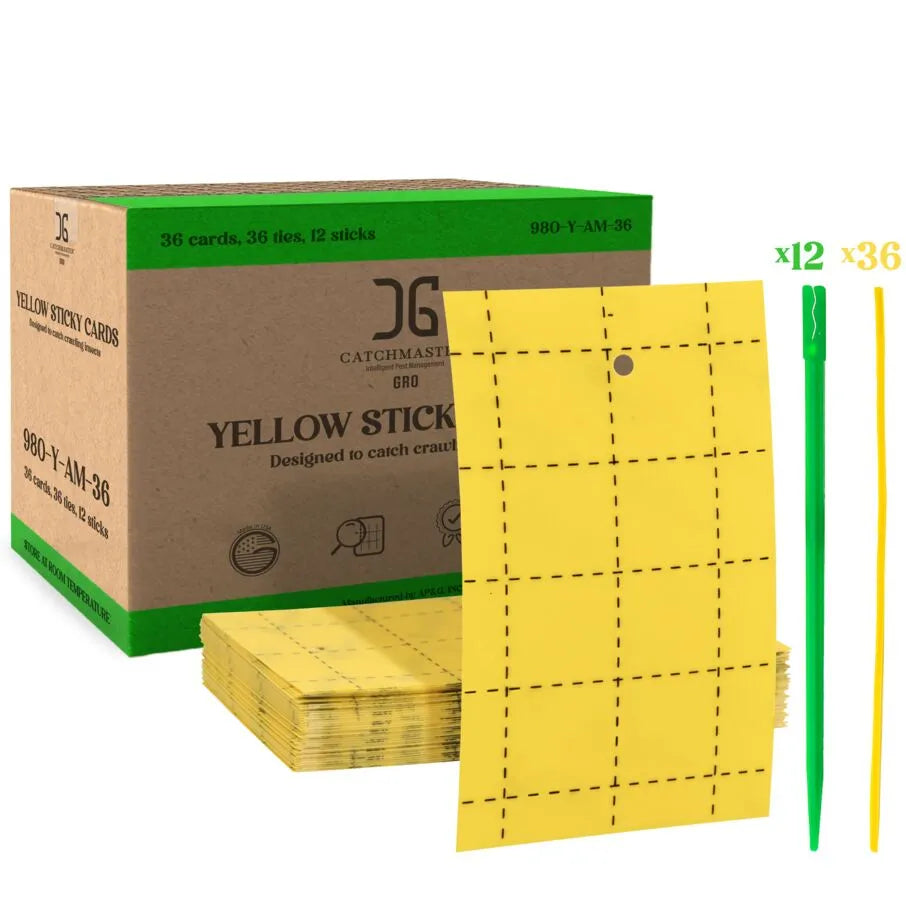 Trampas para insectos con tarjeta adhesiva amarilla de doble cara de 3" x 5"