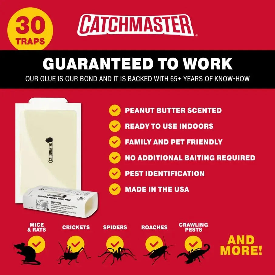 How To Use Mouse Glueboards Catchmaster 72mb 