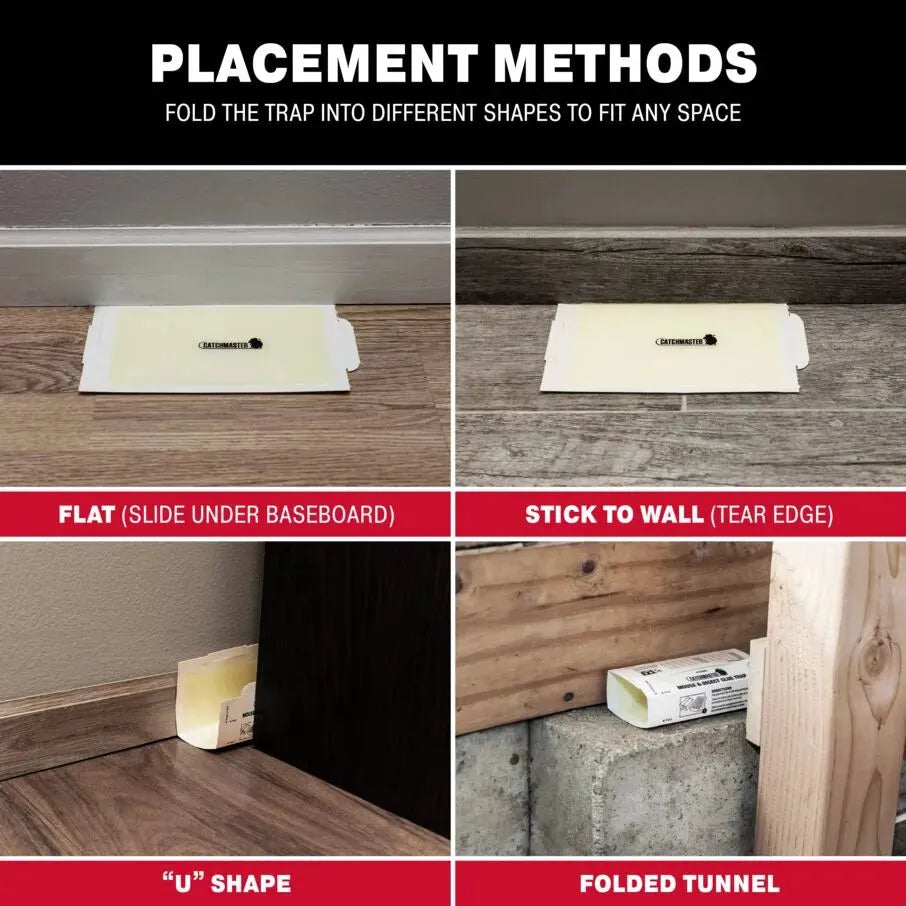 Peanut Butter Scented Glue Board Traps Peanut Butter Scented Glue Board Traps