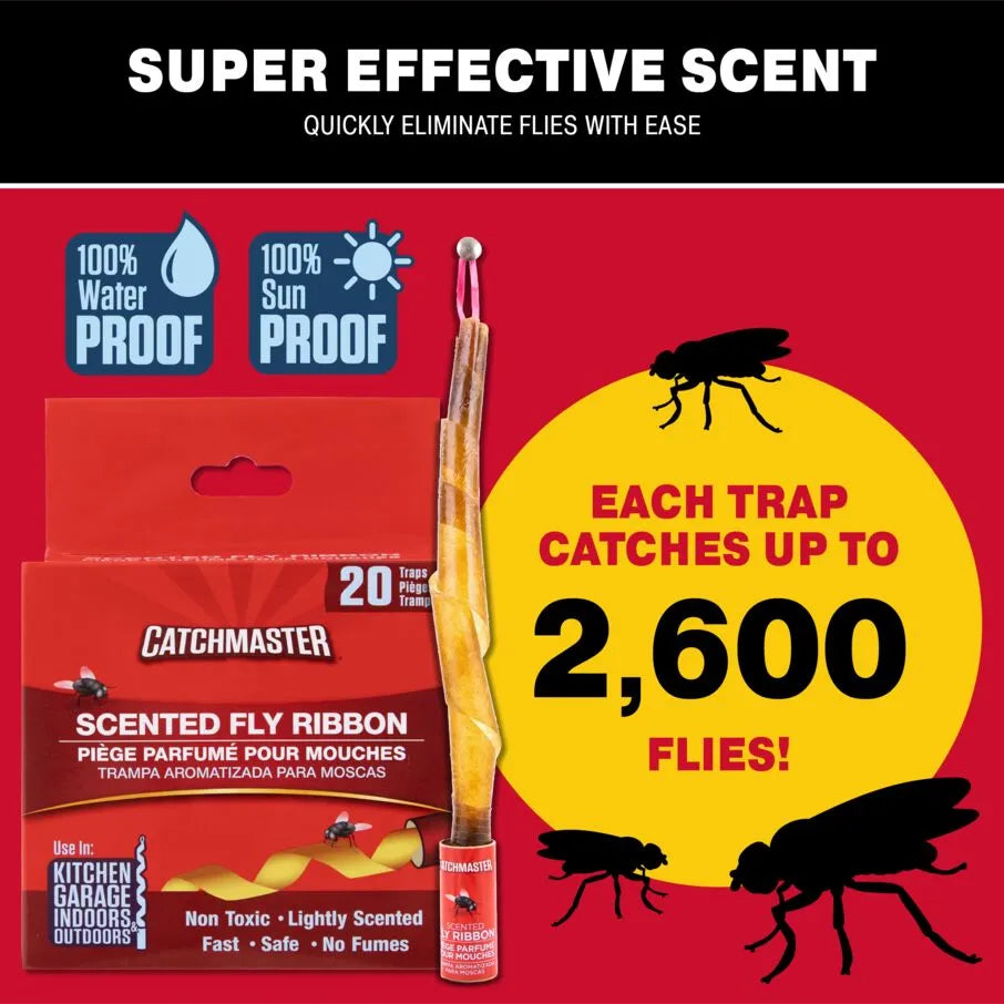 Trampas de cinta para insectos y moscas