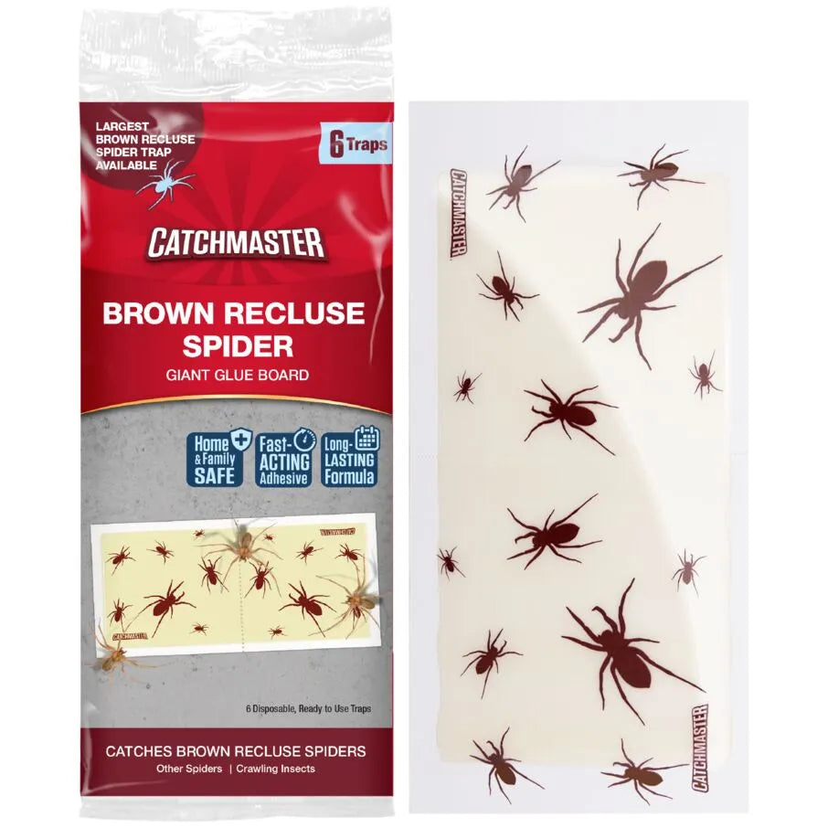 Pièges à colle pour araignées recluses brunes