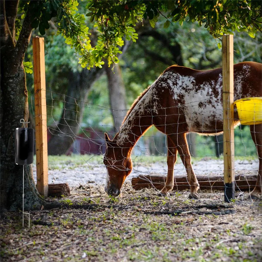 Remplacements du panneau de colle pour mouches mordantes