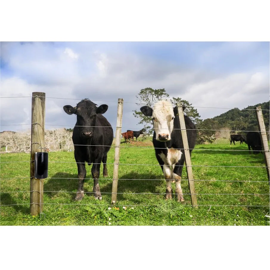 Remplacements du panneau de colle pour mouches mordantes