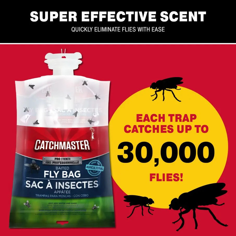 Shoppers Can't Stop Buying This 'Sleek' and 'Highly Effective' Fly  Trap