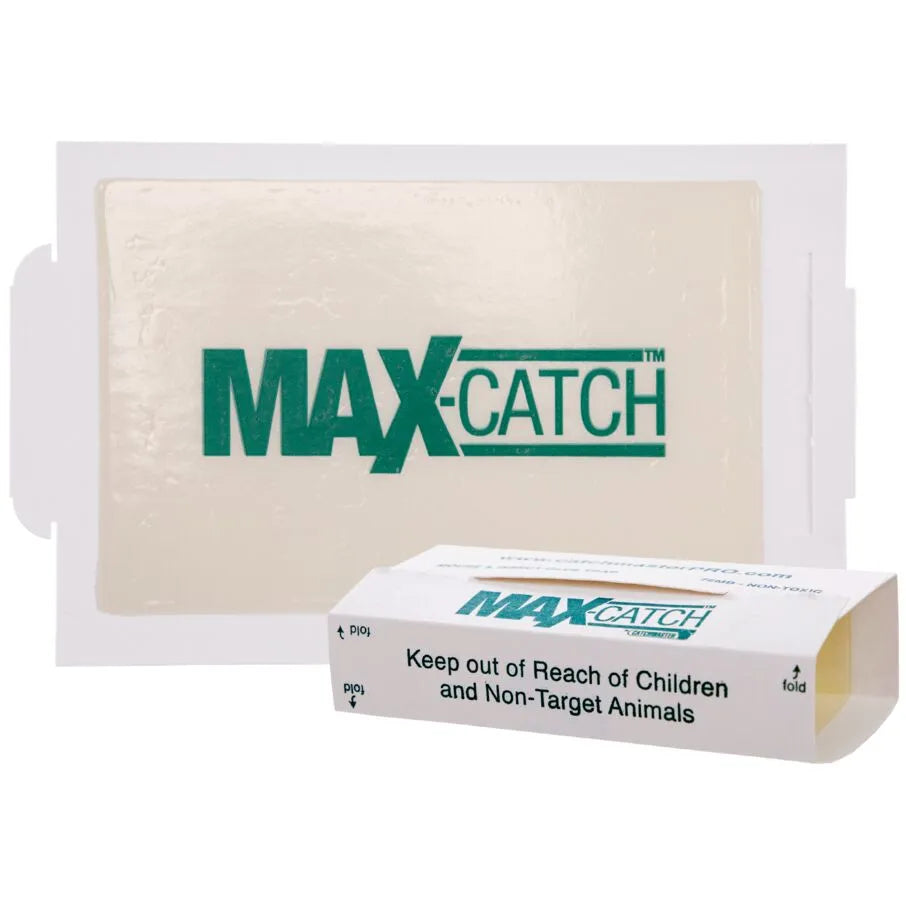 Pièges à panneaux de colle Max Catch - Non parfumés