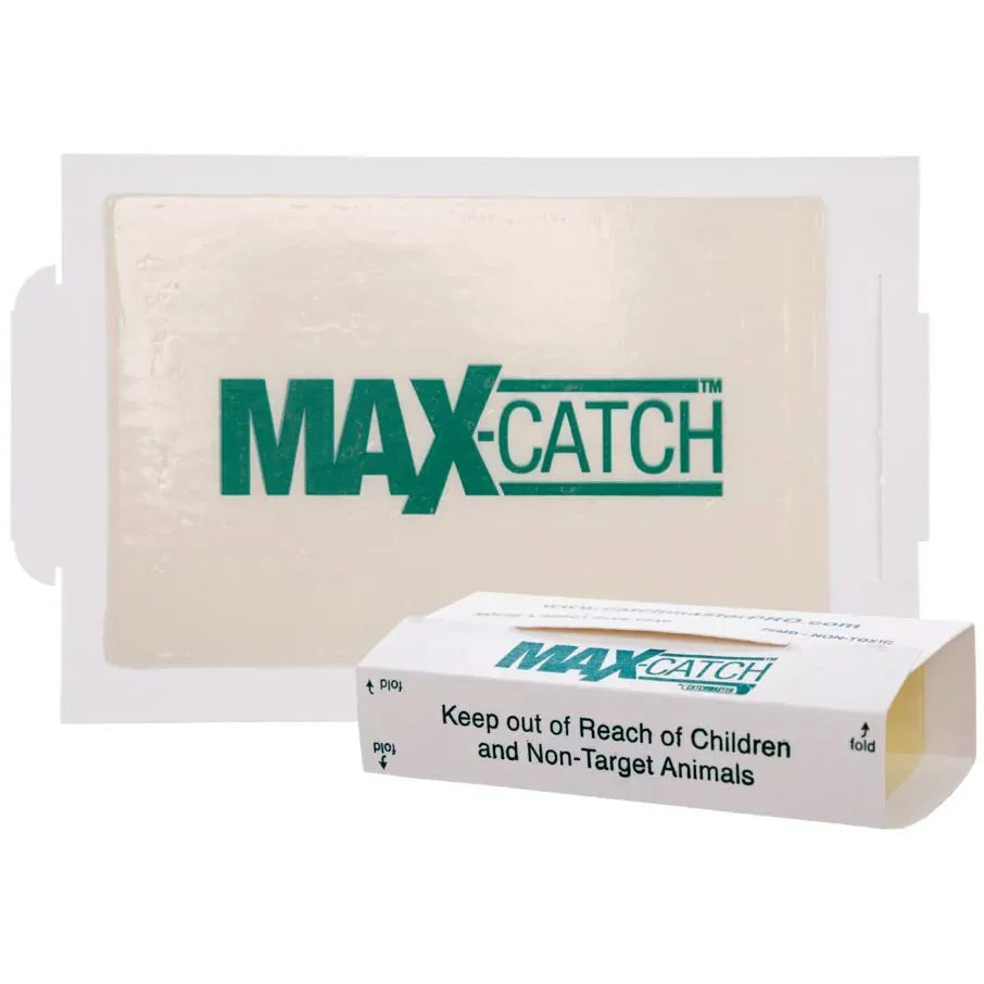 Pièges à colle Max Catch - Parfumés - Panneaux de colle professionnels