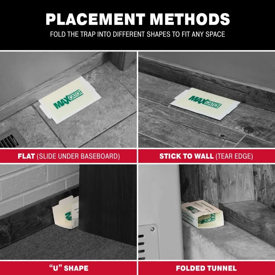 Max Catch Glue Board Traps - Unscented