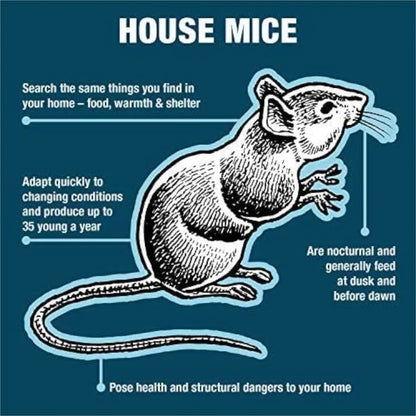 https://www.catchmaster.com/cdn/shop/products/Shopify_Product_Images-Mouse_Fun_Facts_2600x2600_fa3b78aa-4f3c-4dd3-9d30-98db46c1f332.webp?v=1702323386&width=416