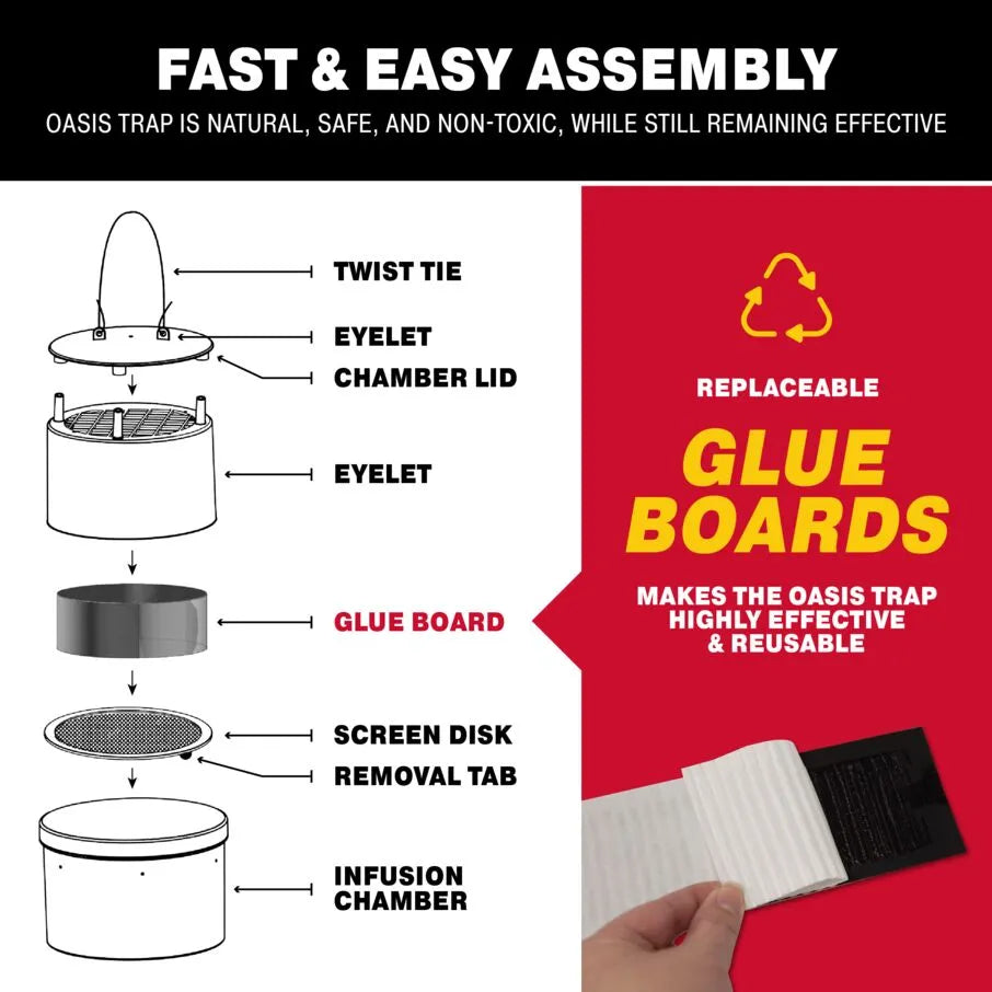 Gluee Louee Heavy Duty Econo-Trap Glue Board Traps