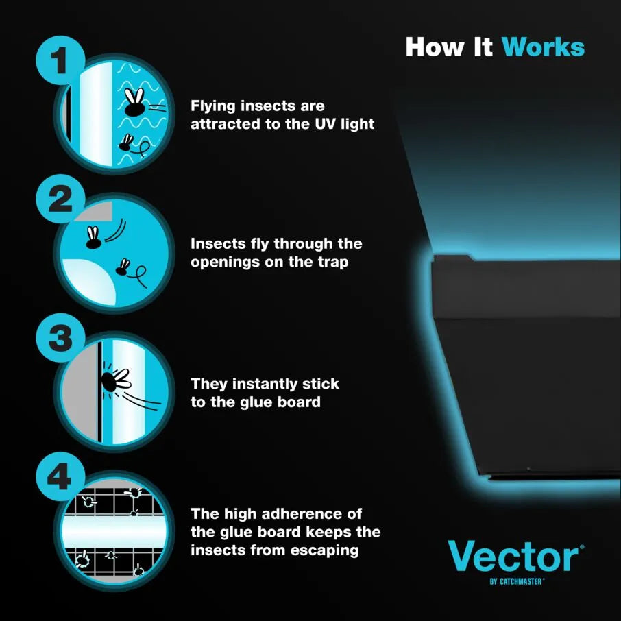 Trampas para moscas con luz UV vectorial, color negro