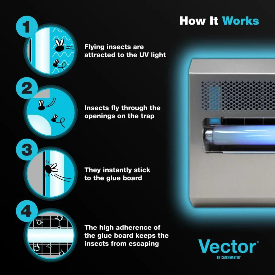 Trampa para moscas con luz ultravioleta Vector 15